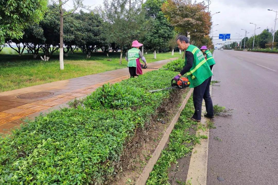 园林绿化养护修剪