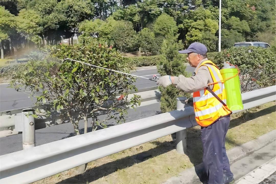 道路绿化养护