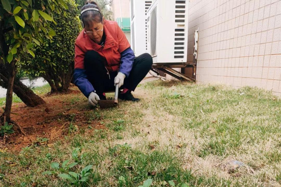 绿化养护除草